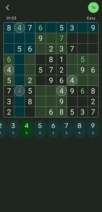 App screenshot 2